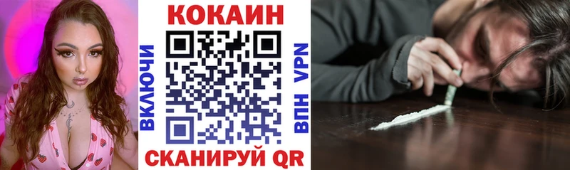 Кокаин Fish Scale  купить наркотик  omg маркетплейс  Ардатов 