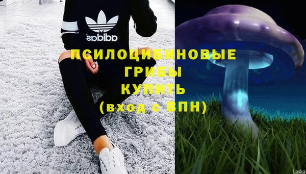 мяу мяу мука Покров