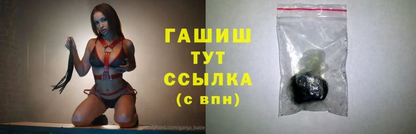 гидра Покачи