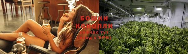 трава Алексин